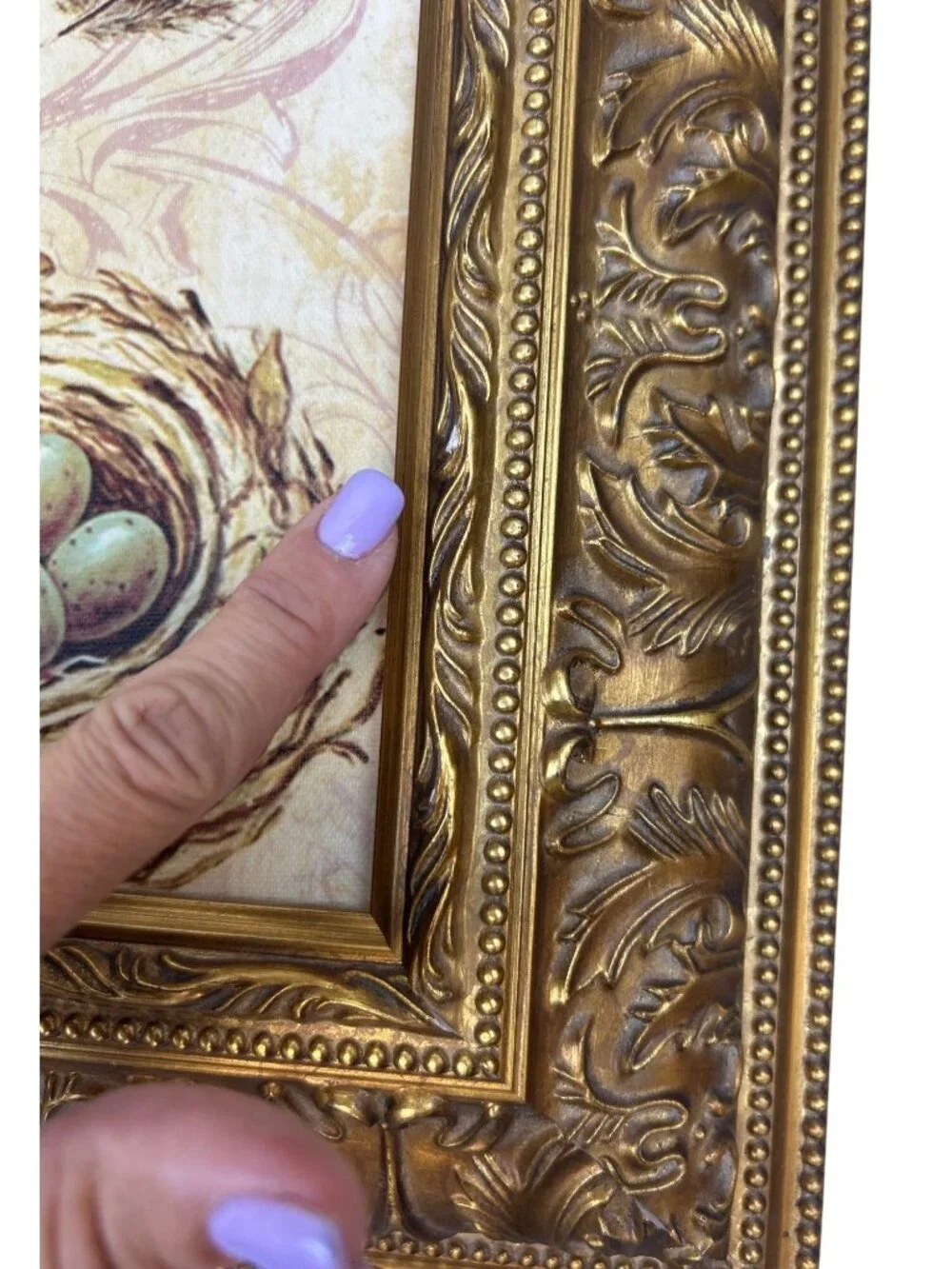 Vintage Framed Bird Nest Wall Art Ornate Gold Frame Cottage Farmhouse Decor